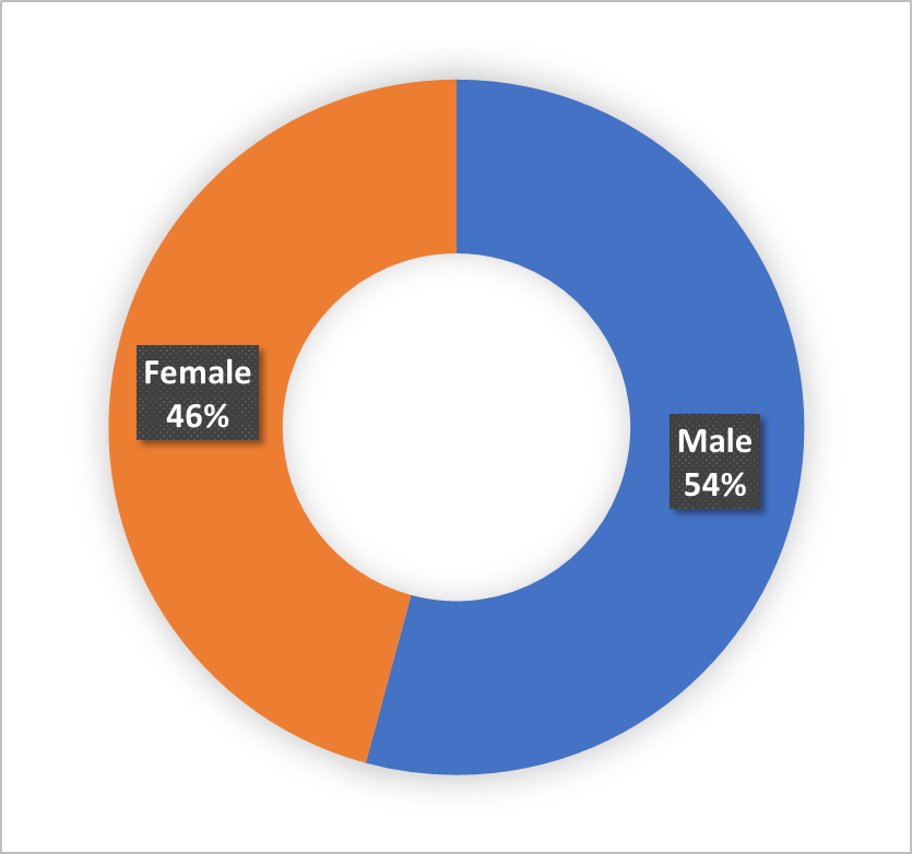 Total population percentage of person with disabilities on the basis of gender : Male 54.20% and Female 45.80%